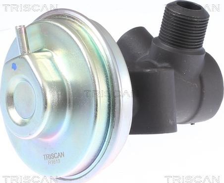 Triscan 8813 14008 - Valvola ricircolo gas scarico-EGR autozon.pro