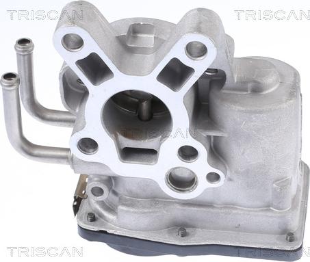 Triscan 8813 14010 - Valvola ricircolo gas scarico-EGR autozon.pro