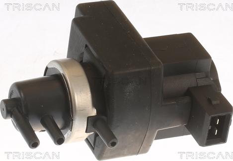 Triscan 8813 14033 - Convertitore pressione, Controllo gas scarico autozon.pro