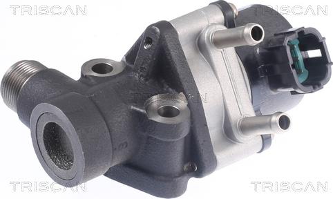 Triscan 8813 14026 - Valvola ricircolo gas scarico-EGR autozon.pro