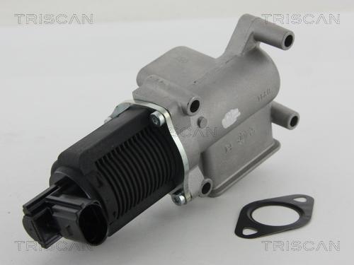 Triscan 8813 15063 - Valvola ricircolo gas scarico-EGR autozon.pro