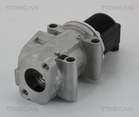 Triscan 8813 15032 - Valvola ricircolo gas scarico-EGR autozon.pro