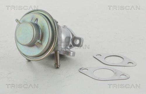 Triscan 8813 15029 - Valvola ricircolo gas scarico-EGR autozon.pro