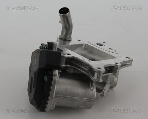 Triscan 8813 15205 - Valvola ricircolo gas scarico-EGR autozon.pro