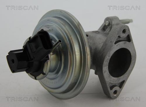 Triscan 8813 16043 - Valvola ricircolo gas scarico-EGR autozon.pro