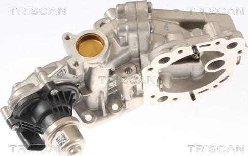 Triscan 8813 16001 - Valvola ricircolo gas scarico-EGR autozon.pro