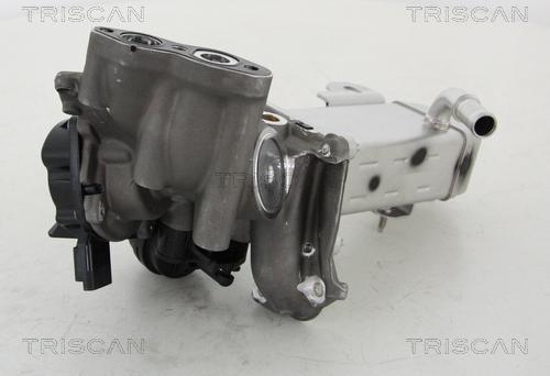 Triscan 8813 16014 - Valvola ricircolo gas scarico-EGR autozon.pro