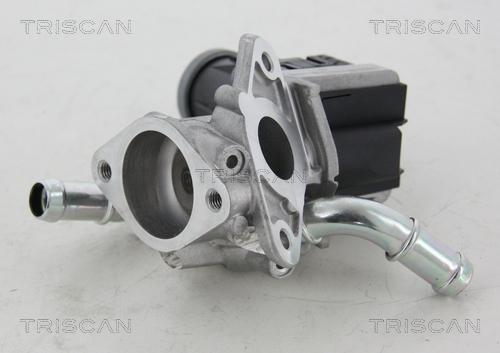 Triscan 8813 16036 - Valvola ricircolo gas scarico-EGR autozon.pro