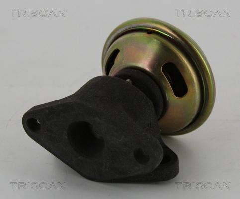 Triscan 8813 16026 - Valvola ricircolo gas scarico-EGR autozon.pro