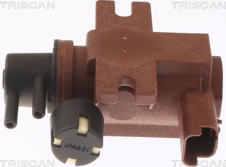 Triscan 8813 16070 - Convertitore pressione, Controllo gas scarico autozon.pro