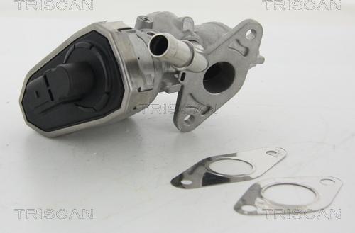 Triscan 8813 16100 - Valvola ricircolo gas scarico-EGR autozon.pro