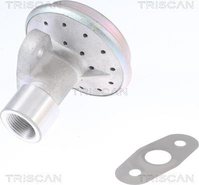 Triscan 8813 16204 - Valvola ricircolo gas scarico-EGR autozon.pro