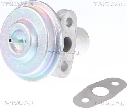 Triscan 8813 16204 - Valvola ricircolo gas scarico-EGR autozon.pro