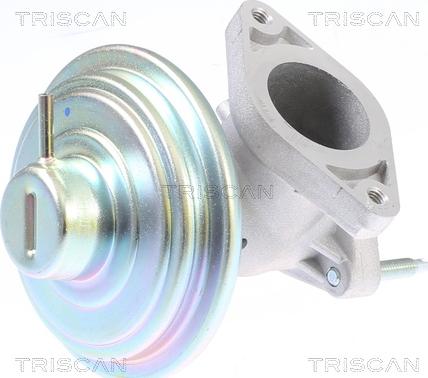 Triscan 8813 16213 - Valvola ricircolo gas scarico-EGR autozon.pro