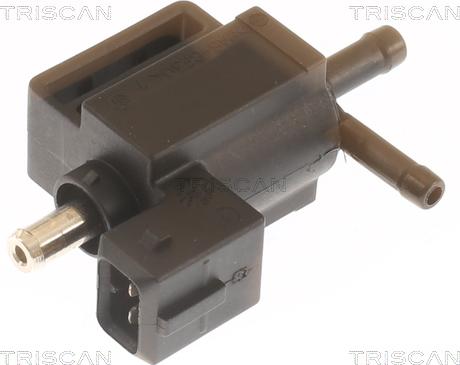 Triscan 8813 10044 - Convertitore pressione, Controllo gas scarico autozon.pro