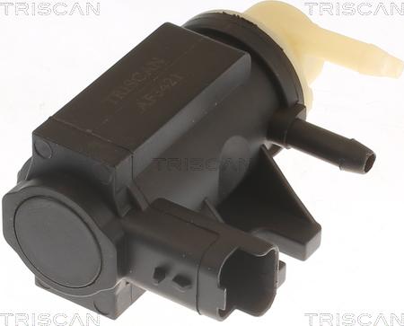 Triscan 8813 10041 - Convertitore pressione, Controllo gas scarico autozon.pro