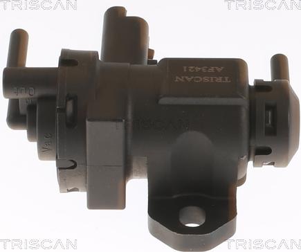 Triscan 8813 10047 - Convertitore pressione, Controllo gas scarico autozon.pro