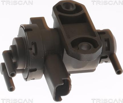 Triscan 8813 10047 - Convertitore pressione, Controllo gas scarico autozon.pro