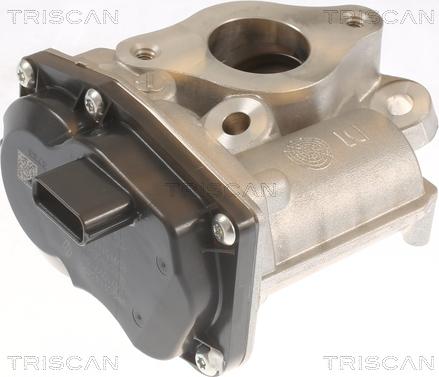 Triscan 8813 10055 - Valvola ricircolo gas scarico-EGR autozon.pro