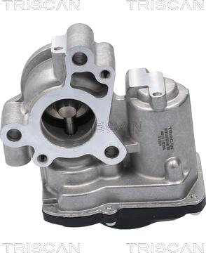 Triscan 8813 10056 - Valvola ricircolo gas scarico-EGR autozon.pro