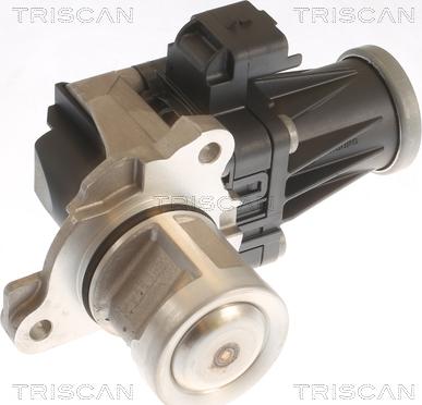 Triscan 8813 10053 - Valvola ricircolo gas scarico-EGR autozon.pro