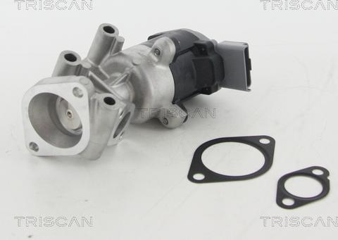 Triscan 8813 10009 - Valvola ricircolo gas scarico-EGR autozon.pro