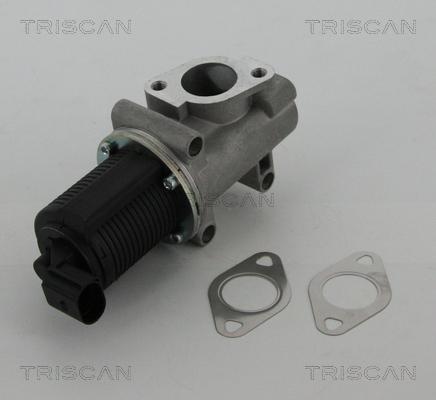 Triscan 8813 10005 - Valvola ricircolo gas scarico-EGR autozon.pro