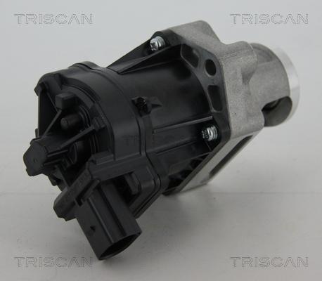 Triscan 8813 10006 - Valvola ricircolo gas scarico-EGR autozon.pro