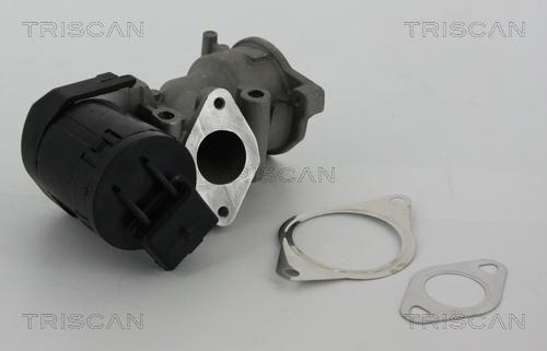 Triscan 8813 10001 - Valvola ricircolo gas scarico-EGR autozon.pro