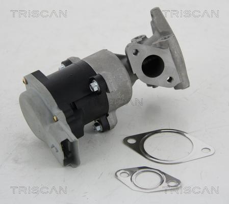 Triscan 8813 10008 - Valvola ricircolo gas scarico-EGR autozon.pro