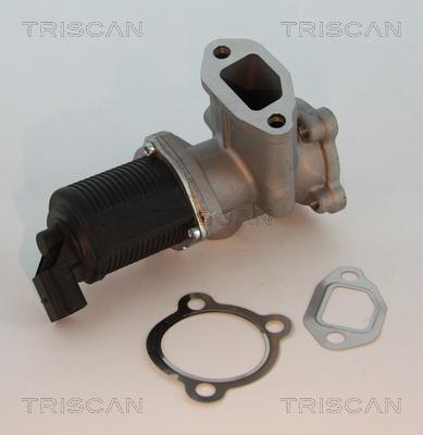 Triscan 8813 10003 - Valvola ricircolo gas scarico-EGR autozon.pro