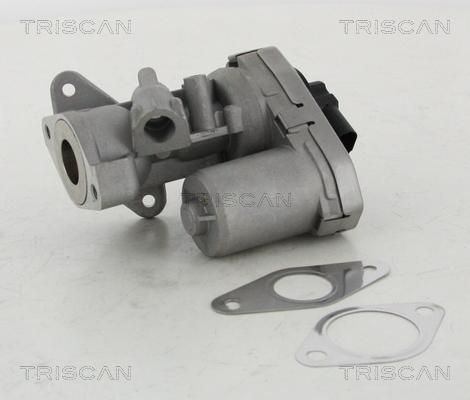 Triscan 8813 10002 - Valvola ricircolo gas scarico-EGR autozon.pro