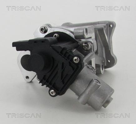 Triscan 8813 10007 - Valvola ricircolo gas scarico-EGR autozon.pro