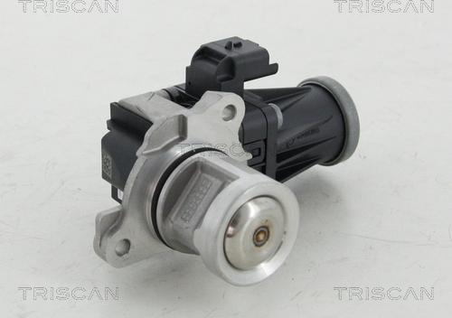 Triscan 8813 10016 - Valvola ricircolo gas scarico-EGR autozon.pro