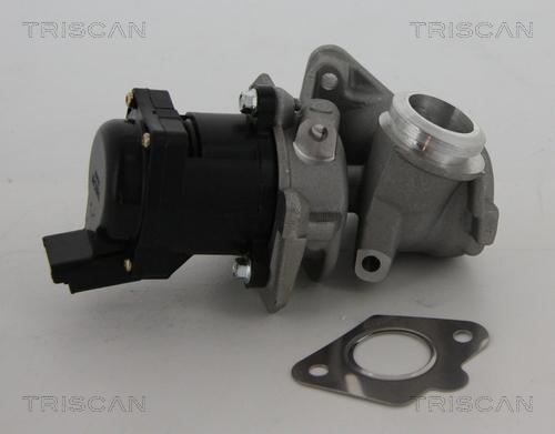 Triscan 8813 10010 - Valvola ricircolo gas scarico-EGR autozon.pro