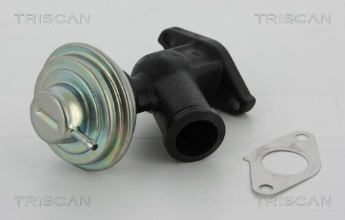 Triscan 8813 10011 - Valvola ricircolo gas scarico-EGR autozon.pro