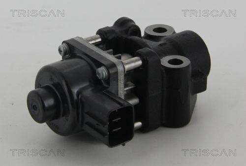 Triscan 8813 10013 - Valvola ricircolo gas scarico-EGR autozon.pro