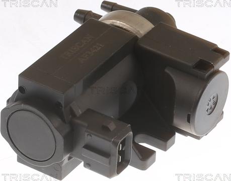 Triscan 8813 10038 - Convertitore pressione, Controllo gas scarico autozon.pro