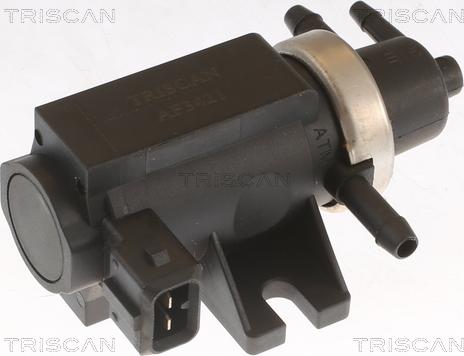 Triscan 8813 10037 - Convertitore pressione, Controllo gas scarico autozon.pro