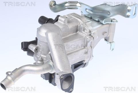 Triscan 8813 10106 - Valvola ricircolo gas scarico-EGR autozon.pro