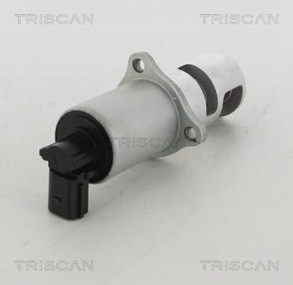 Triscan 8813 10100 - Valvola ricircolo gas scarico-EGR autozon.pro