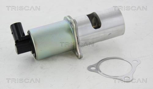 Triscan 8813 10100 - Valvola ricircolo gas scarico-EGR autozon.pro