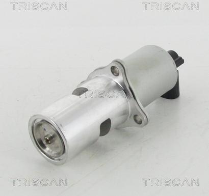 Triscan 8813 10100 - Valvola ricircolo gas scarico-EGR autozon.pro