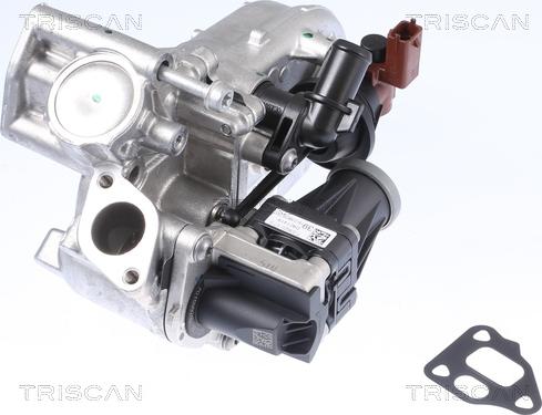 Triscan 8813 10108 - Valvola ricircolo gas scarico-EGR autozon.pro