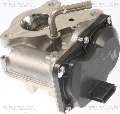 Triscan 8813 10116 - Valvola ricircolo gas scarico-EGR autozon.pro