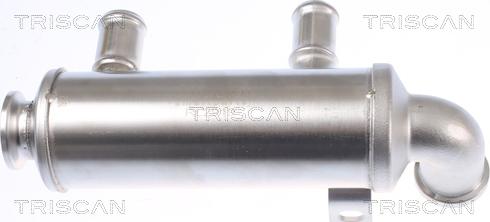 Triscan 8813 10110 - Radiatore, Ricircolo gas scarico autozon.pro