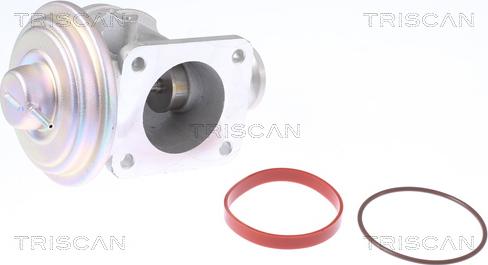 Triscan 8813 11004 - Valvola ricircolo gas scarico-EGR autozon.pro