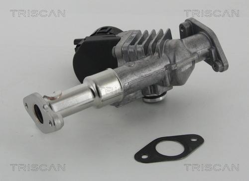 Triscan 8813 11006 - Valvola ricircolo gas scarico-EGR autozon.pro