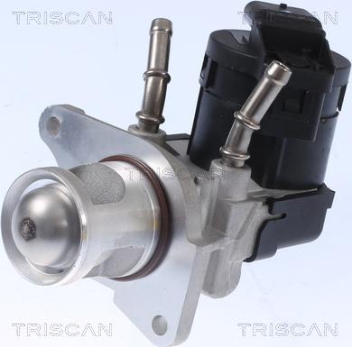 Triscan 8813 11001 - Valvola ricircolo gas scarico-EGR autozon.pro