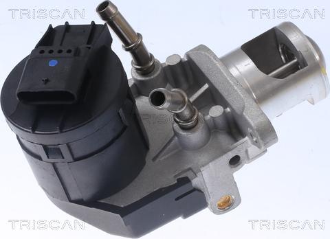 Triscan 8813 11001 - Valvola ricircolo gas scarico-EGR autozon.pro